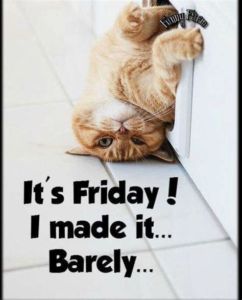 Good Friday morning...we made it! | Its friday quotes, Friday quotes ...