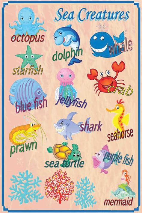 Kids Educational Wall Poster|Sea Creatures|Poster for Play School, Kids ...