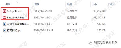 Mega Software Installation 的图像结果