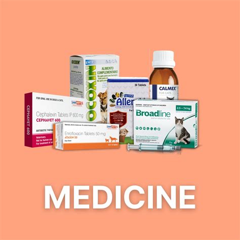 Feline Frenzy - Purr-fect Deals on Animeal's Cat Collection!