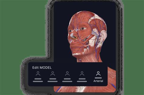 3D Anatomy Platform | Complete Anatomy | Elsevier