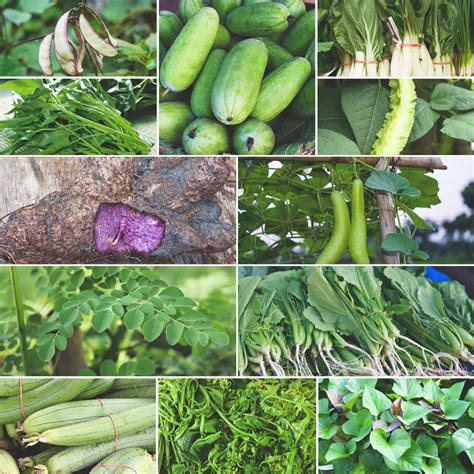 Stunning Vegetables Found In Nature: A Wild Guide
