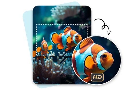 Image result for Image Resizer