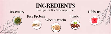 Buy AGE Hair Spa For Dry & Damaged & Hair Conditioner | Treatment for ...