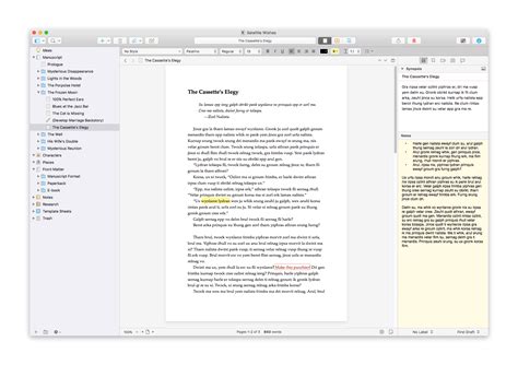 Scrivener App Ipad