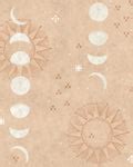 Petals In The Sky Wallpaper - Peach – Nicobar