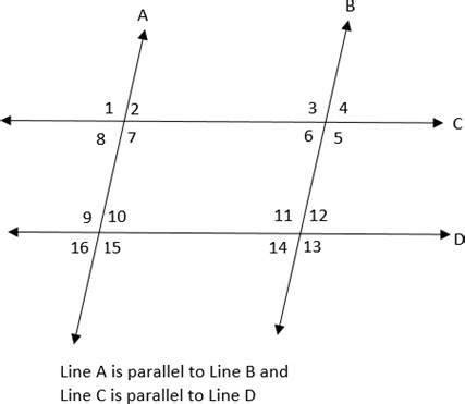 Using the diagram, what can be said about angles 7 and 12? - Brainly.in