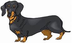 Dachshund Clipart Free by Dachshund Clipart Free On Clipartmag Dachshund Clipart Free