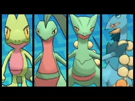 Image result for Pokemon Evolution Chart Treecko