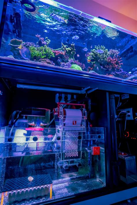 Image result for Reef Decatur Indiana