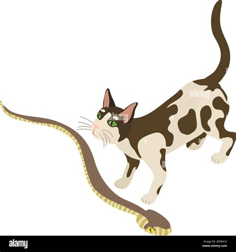 Animal care icon isometric vector. Black and white domestic cat and common viper. Biological ...