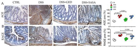 PPAR-Gamma Orchestrates EMT, AGE, and Cellular Senescence Pathways in ...