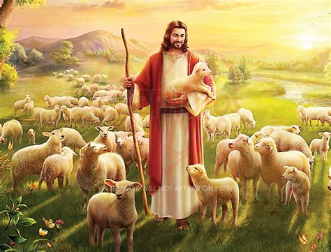 JESUS CHRIST LAMB OF GOD LOST SHEEP FATHER SON SPIRIT 8X11 PHOTO ...