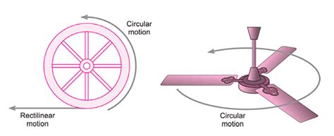 MCQ and Extra Questions: Motion and Measurement of Distances - Science ...