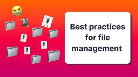 Image result for File Management Tips