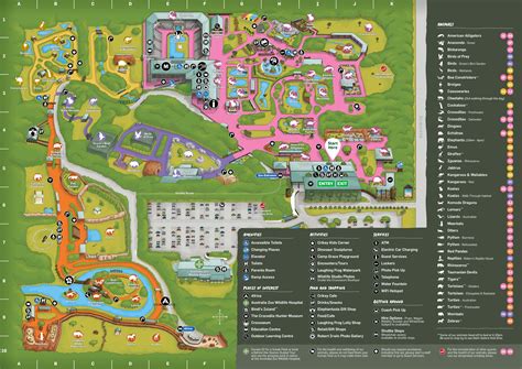 Map Of Dreamworld