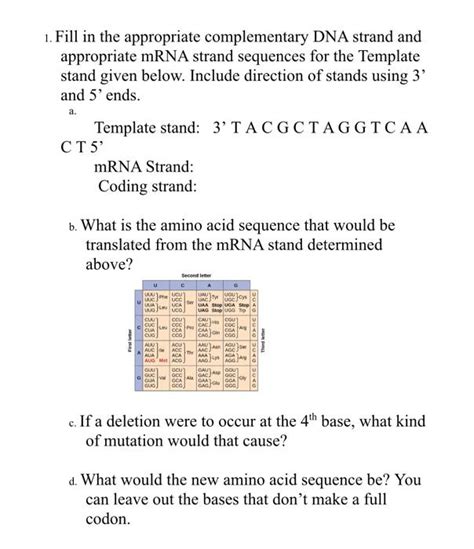 Image result for Complementary mRNA Strand