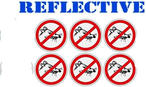 Buy 6 REFLECTIVE - No Rats Hard Hat Stickers Union Decals for Hard Hat ...