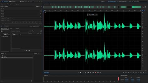Image result for Adobe Audition Vocoder