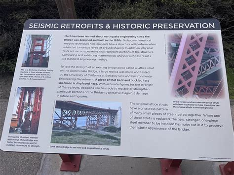 Golden Gate Bridge California Bears Discover The Wonders Of