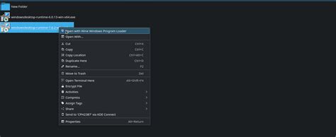 Image result for How to Randomize Omega Ruby with Pkhex