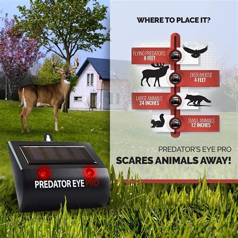 Buy Aspectek - 4600sq ft Coverage -Predator Eye PRO - Kick Stand Solar ...