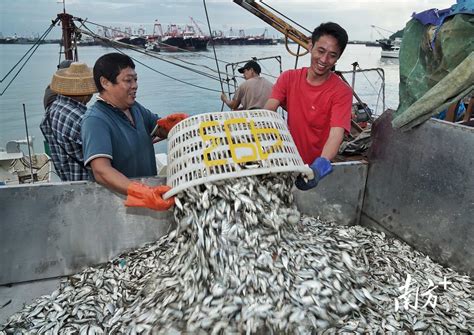 钱大妈参加第二十届南海（阳江）开渔令活动，让新鲜海产直达消费者餐桌__财经头条