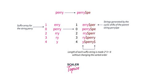 Suffix Array Search 的图像结果