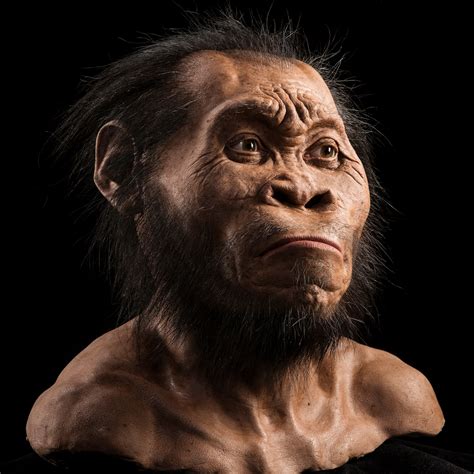 First Homo Sapiens