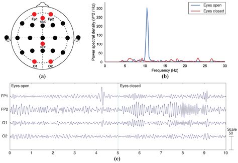 Fully 3D-Printed Dry EEG Electrodes