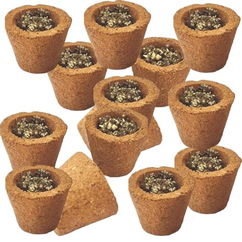 (24 Pcs) Royal Deepam Natural Organic Cup sambrani/dhoop Cups with ...
