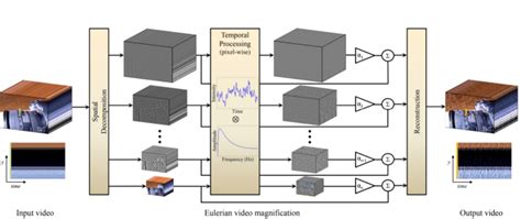 Image result for EVM Eulerian Video Magnification Python