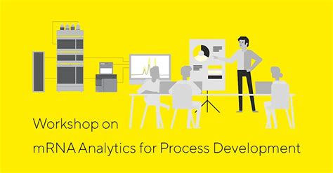 Workshop on mRNA Analytics for Process Development, Melbourne, 30 ...