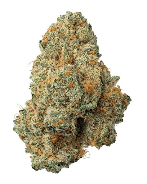 Sugar Biscuits - Rocky Mountain High