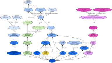 Reipzig – GenWiki