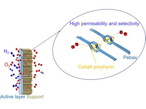 Highly Selective Oxygen/Nitrogen Separation Membrane Engineered Using a ...