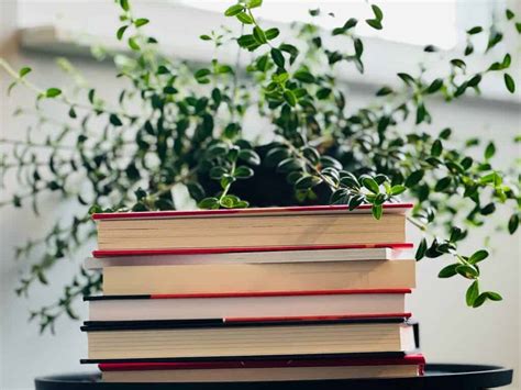 Image result for Book Report Introduction Examples