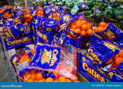 Cuties citrus editorial photography. Image of ranch - 176955707