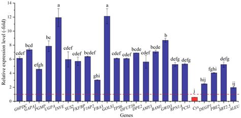 Physiological and Transcriptional Responses of Apocynum venetum to Salt ...