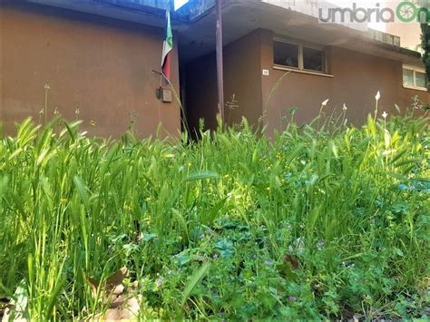 Terni: «Degrado ed erba alta per colpa della burocrazia  