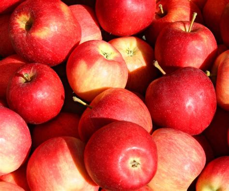Listeria Scare Leads to Apple Recall at Aldi Stores in 6 States ...