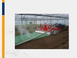 Image result for Soil Solarization Methods