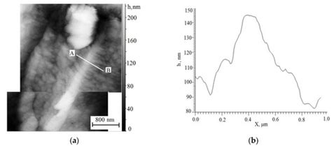 Scanning Tunneling Microscopy of Intermediate Transformation Structures ...