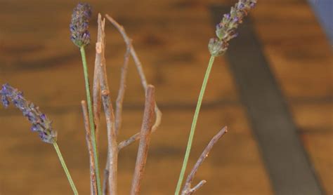 DIY Oil Diffuser 的图像结果