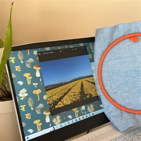 Image result for Create Embroidery Design