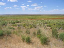 2003 07 29 Elko NV to Mountain Home ID, Bruneau Dunes