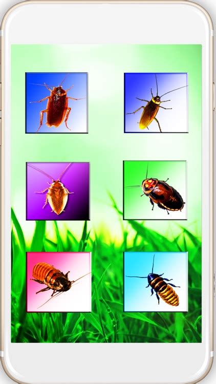 Cockroach On Hand Mega Prank by ALEXANDR GUSEV