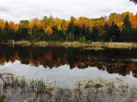 Herman Vogler Conservation Area, rogers city, United States Of America ...