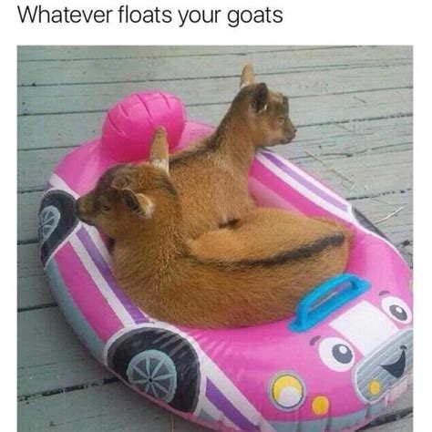 The General Memes Thread (Part 1) - Page 225 - The Lounge - Elektronauts