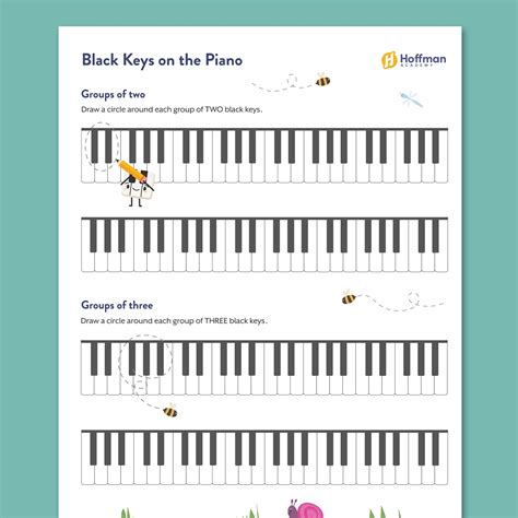 Black Keys on a Piano Keyboard | Beginner Activity PDF